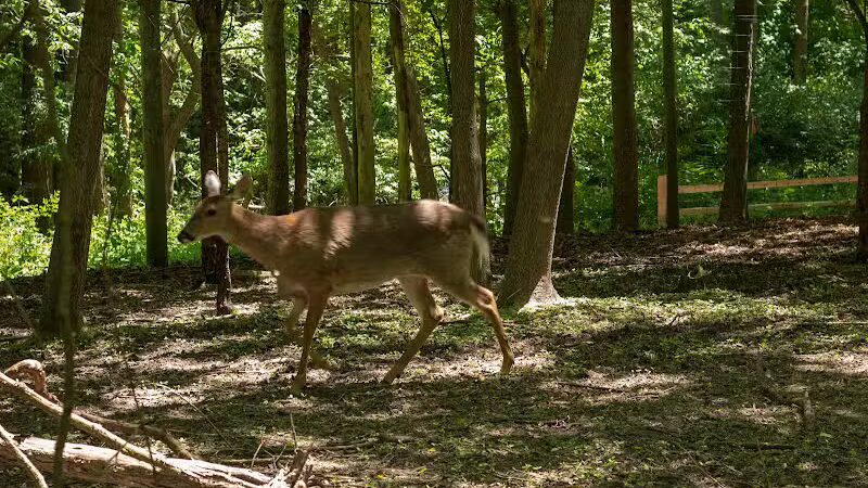 Johnson Nature Center - Bloomfield Township,