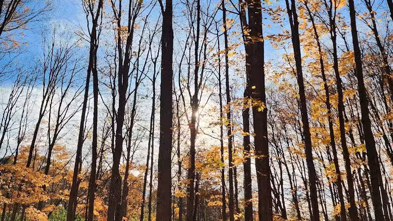 Johnson Nature Center - Bloomfield Township,