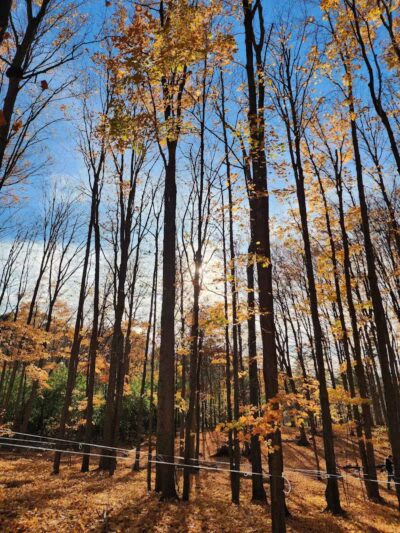 Johnson Nature Center - Bloomfield Township,