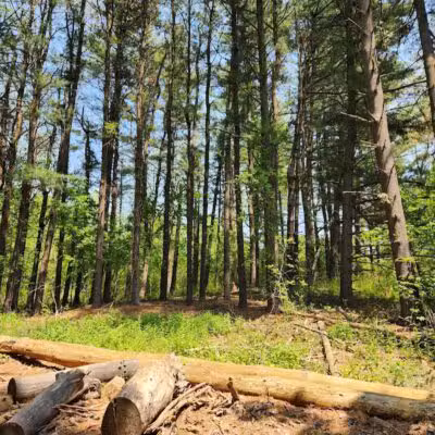 Johnson Nature Center - Bloomfield Township,