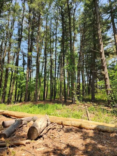 Johnson Nature Center - Bloomfield Township,