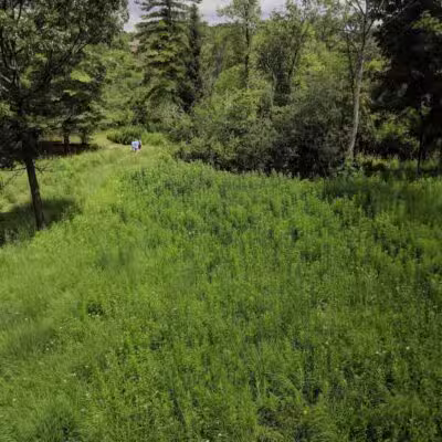 Johnson Nature Center - Bloomfield Township,