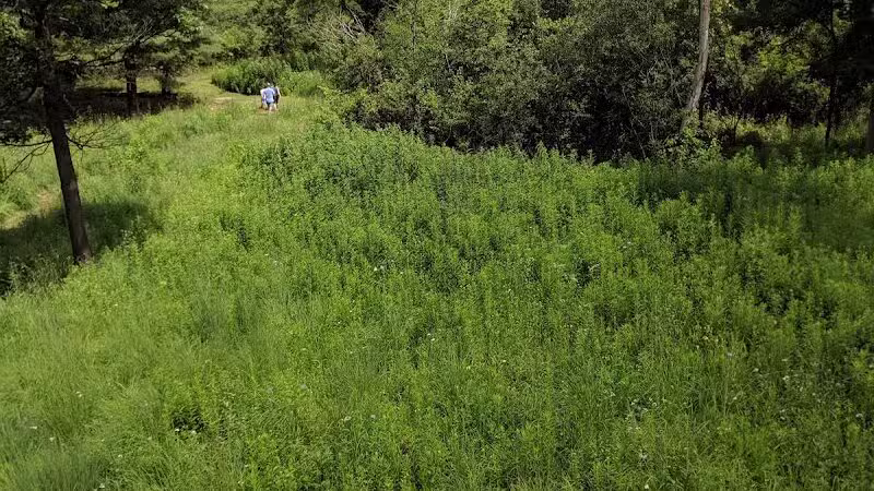 Johnson Nature Center - Bloomfield Township,