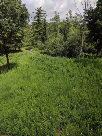 Johnson Nature Center - Bloomfield Township,