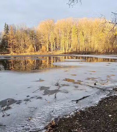 Johnson Nature Center - Bloomfield Township,