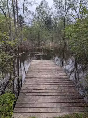 Johnson Nature Center - Bloomfield Township,