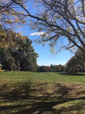 Springdale Park - Bloomfield Township,