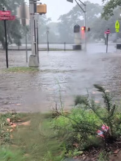 Watsessing Park - Bloomfield, NJ