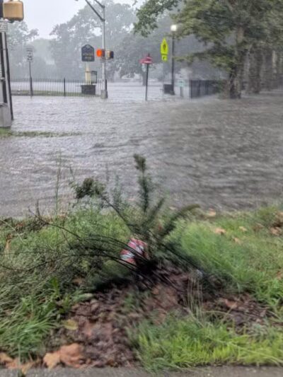 Watsessing Park - Bloomfield, NJ