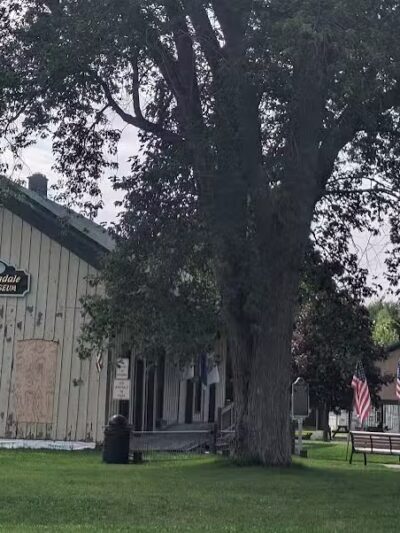 Augustus Haven Park - Bloomingdale,