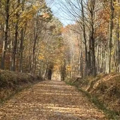 Kal-Haven Trail- Bloomingdale Trailhead - Bloomingdale,