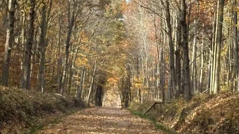 Kal-Haven Trail- Bloomingdale Trailhead - Bloomingdale,