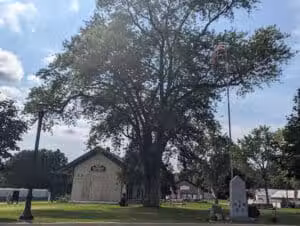 Augustus Haven Park - Bloomingdale,