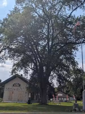 Augustus Haven Park - Bloomingdale,