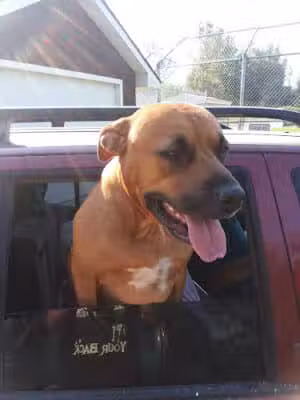 Shady Brook Park - Bloomingdale,