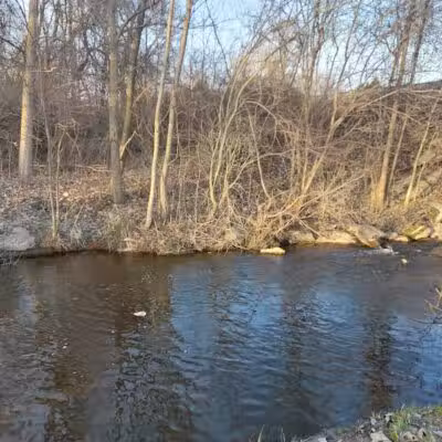 Shady Brook Park - Bloomingdale,