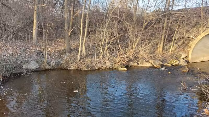 Shady Brook Park - Bloomingdale,