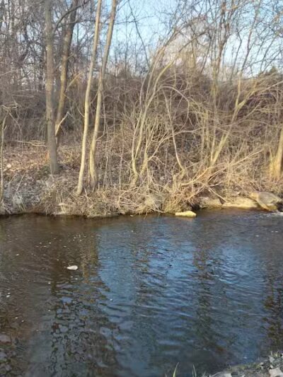 Shady Brook Park - Bloomingdale,