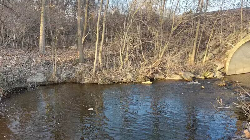 Shady Brook Park - Bloomingdale,