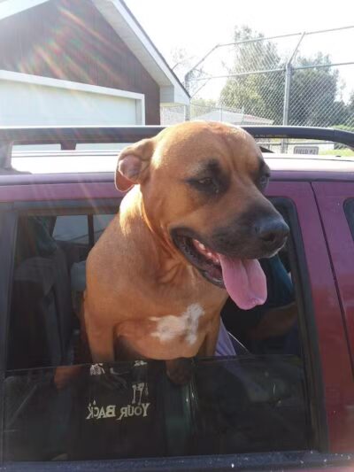 Shady Brook Park - Bloomingdale,