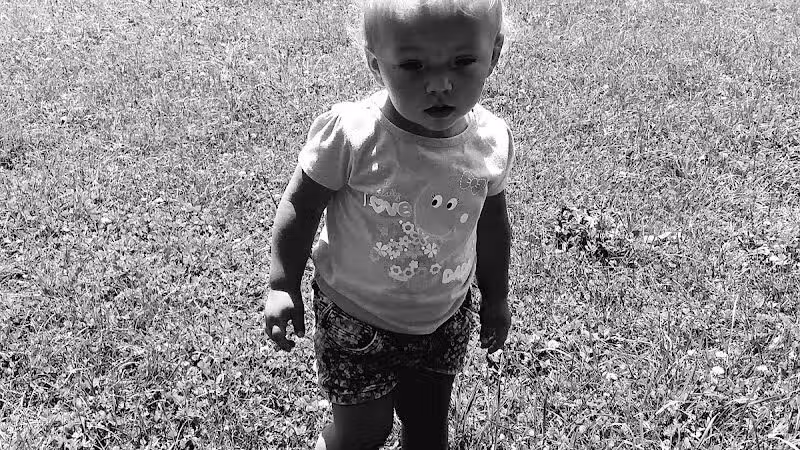 Shady Brook Park - Bloomingdale,