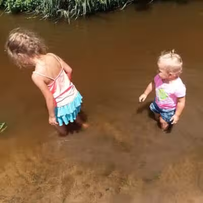 Shady Brook Park - Bloomingdale,