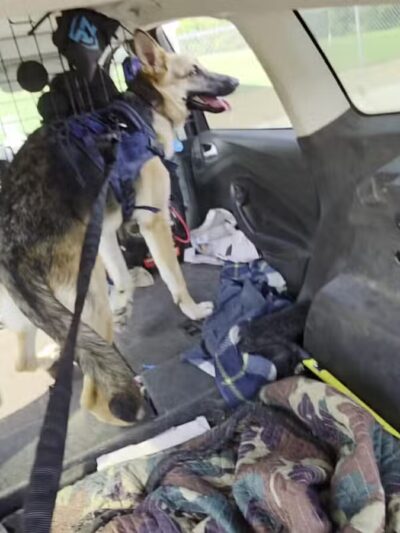 Bloomington Off-leash Dog Park - Bloomington, MN