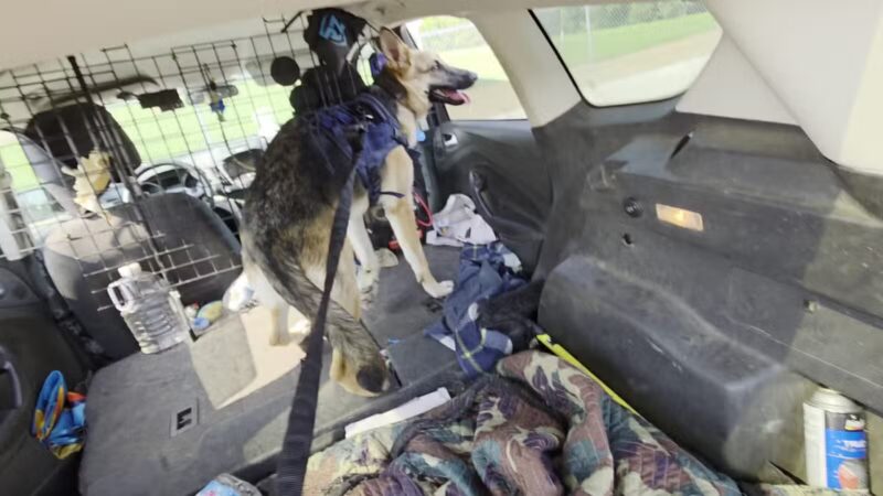 Bloomington Off-leash Dog Park - Bloomington, MN
