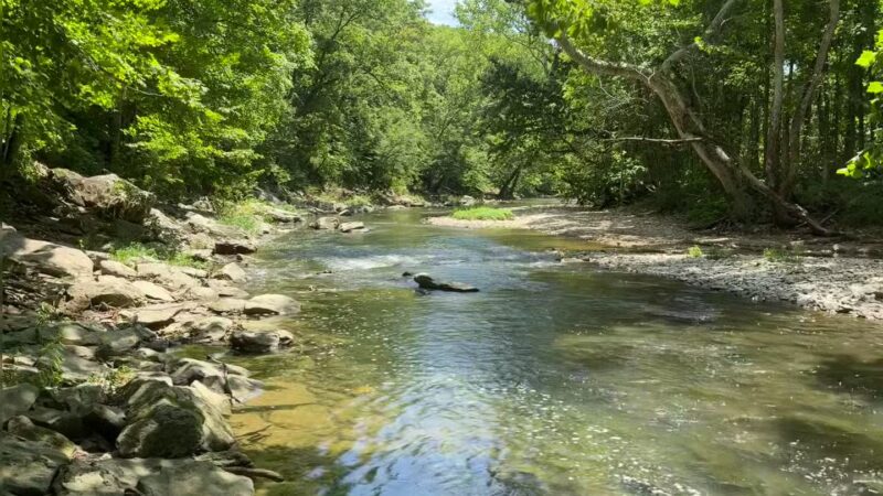 Cedar Bluffs Nature Preserve - Bloomington, IN