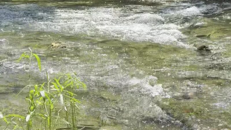 Cedar Bluffs Nature Preserve - Bloomington, IN