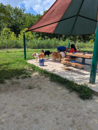 Ferguson Dog Park - Bloomington, IN