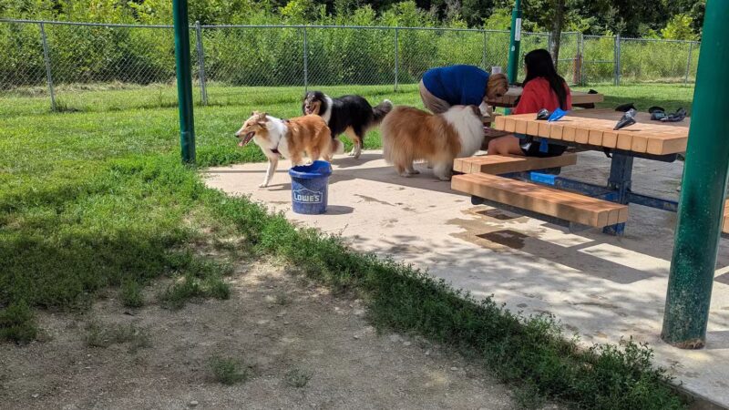 Ferguson Dog Park - Bloomington, IN