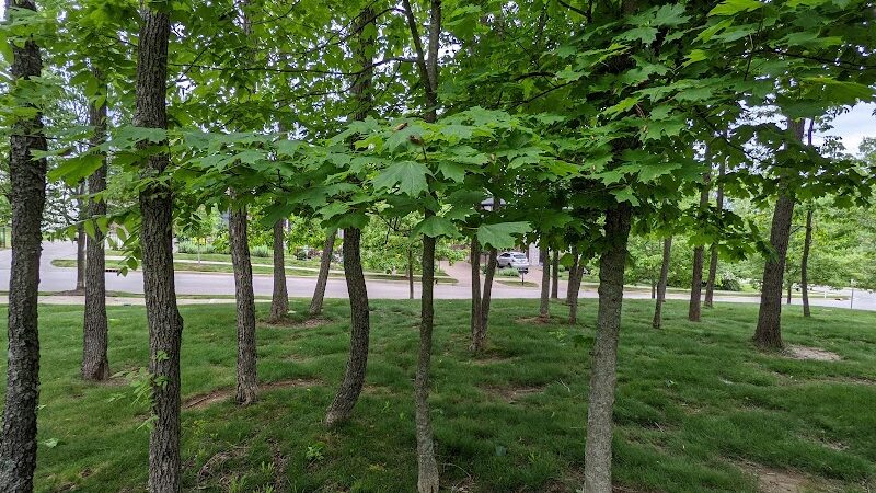 Cathcart Park - Bloomington, IN