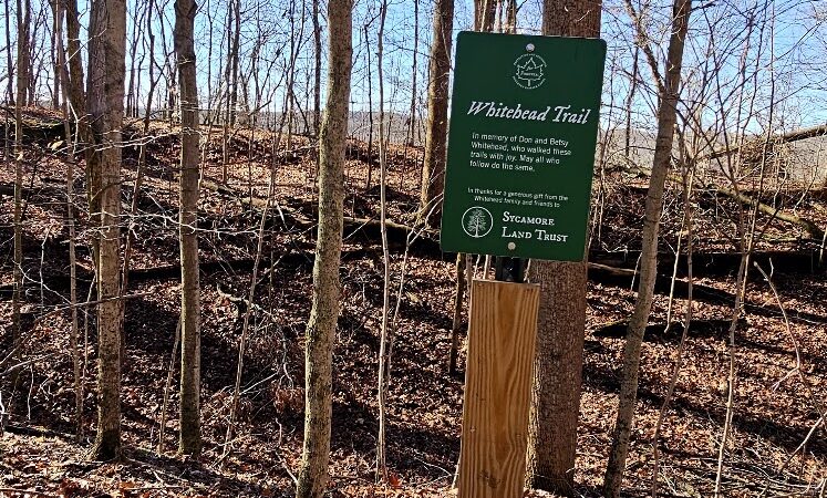 Amy Weingartner Branigin Peninsula Preserve - Bloomington, IN