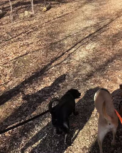 Amy Weingartner Branigin Peninsula Preserve - Bloomington, IN