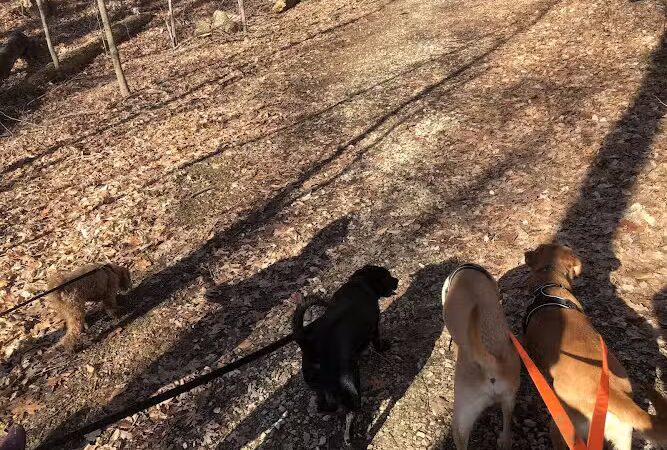 Amy Weingartner Branigin Peninsula Preserve - Bloomington, IN