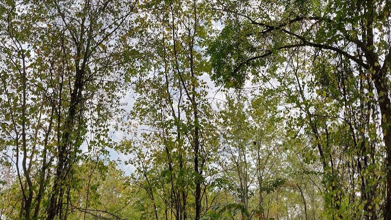 B-Line Trail - Bloomington, IN