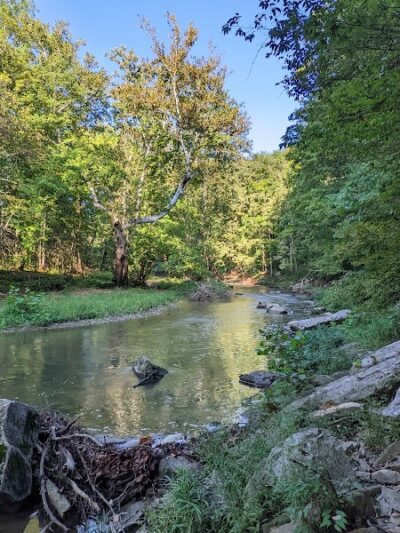 Cedar Bluffs Nature Preserve - Bloomington, IN