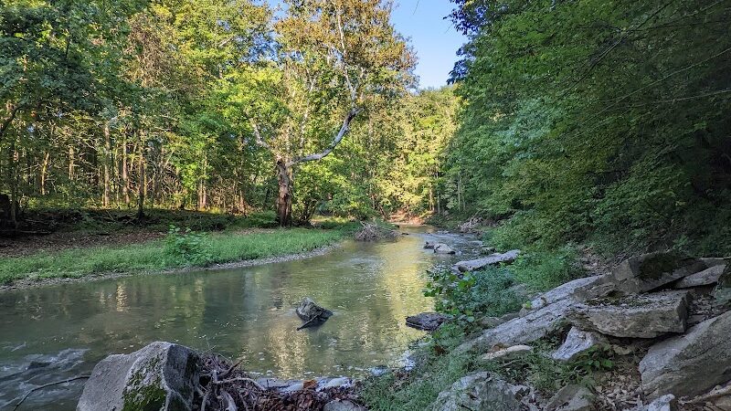 Cedar Bluffs Nature Preserve - Bloomington, IN