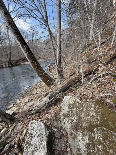 Cedar Bluffs Nature Preserve - Bloomington, IN
