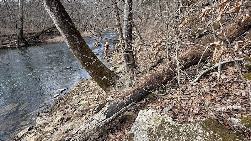 Cedar Bluffs Nature Preserve - Bloomington, IN