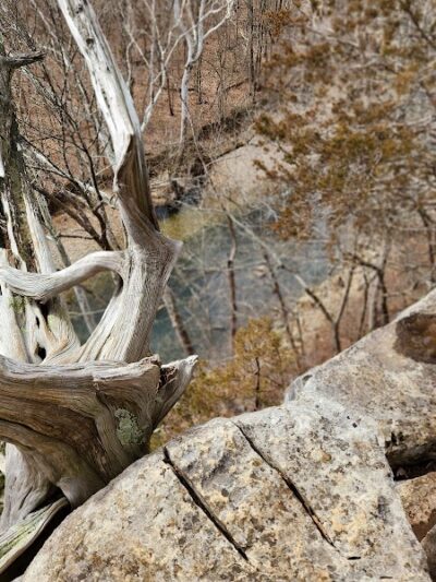Cedar Bluffs Nature Preserve - Bloomington, IN