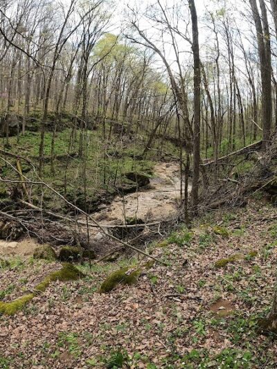 Cedar Bluffs Nature Preserve - Bloomington, IN