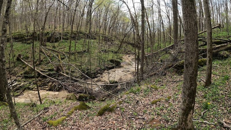 Cedar Bluffs Nature Preserve - Bloomington, IN