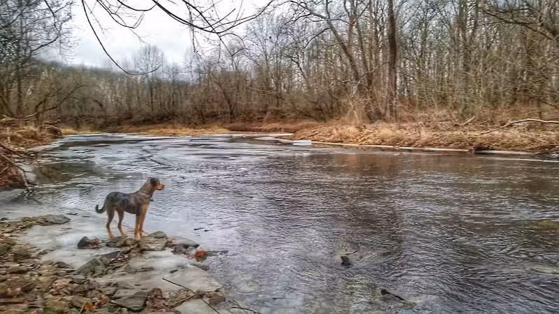 Cedar Bluffs Nature Preserve - Bloomington, IN