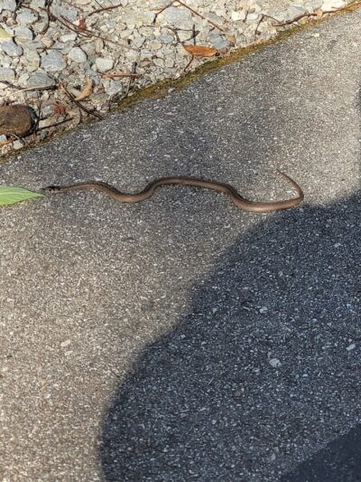 Clear Creek Trail parking at Church Lane - Bloomington, IN