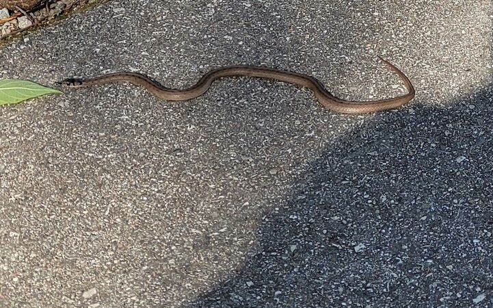 Clear Creek Trail parking at Church Lane - Bloomington, IN