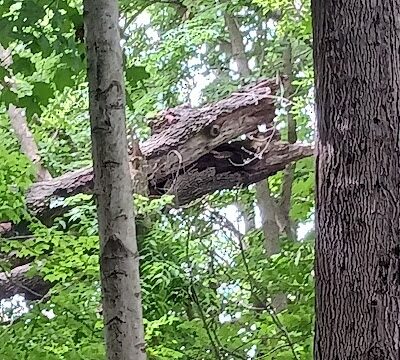 Clear Creek Trail parking at Church Lane - Bloomington, IN