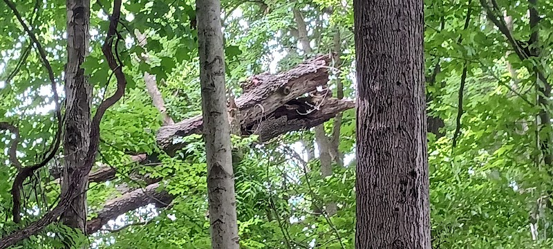 Clear Creek Trail parking at Church Lane - Bloomington, IN