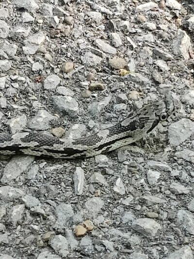 Clear Creek Trail parking at Church Lane - Bloomington, IN